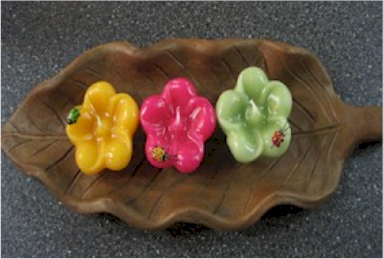 Portada de Coleccion de Jardin 2010