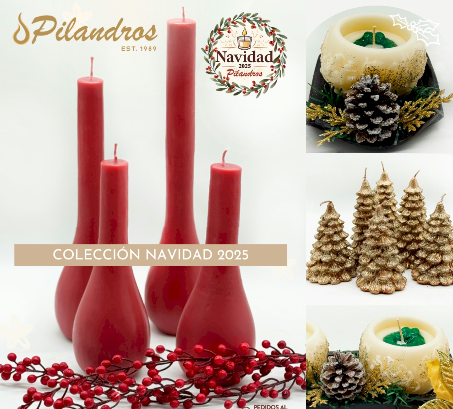 Portada de Navidad 2025